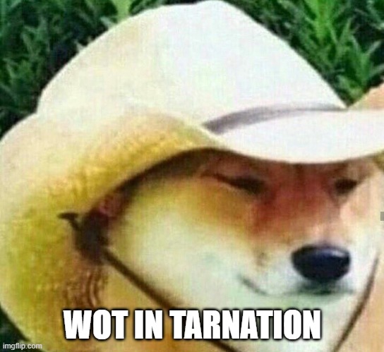 What in tarnation | WOT IN TARNATION | image tagged in what in tarnation | made w/ Imgflip meme maker