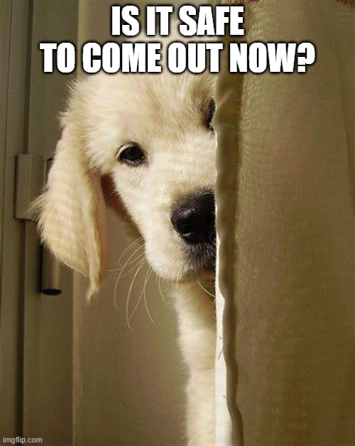 is it safe to come out | IS IT SAFE TO COME OUT NOW? | image tagged in safe | made w/ Imgflip meme maker