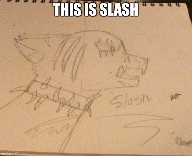 Slash | THIS IS SLASH | image tagged in drawing | made w/ Imgflip meme maker