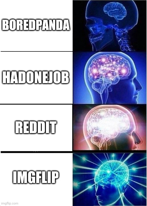 The meme sites | BOREDPANDA; HADONEJOB; REDDIT; IMGFLIP | image tagged in memes,expanding brain | made w/ Imgflip meme maker