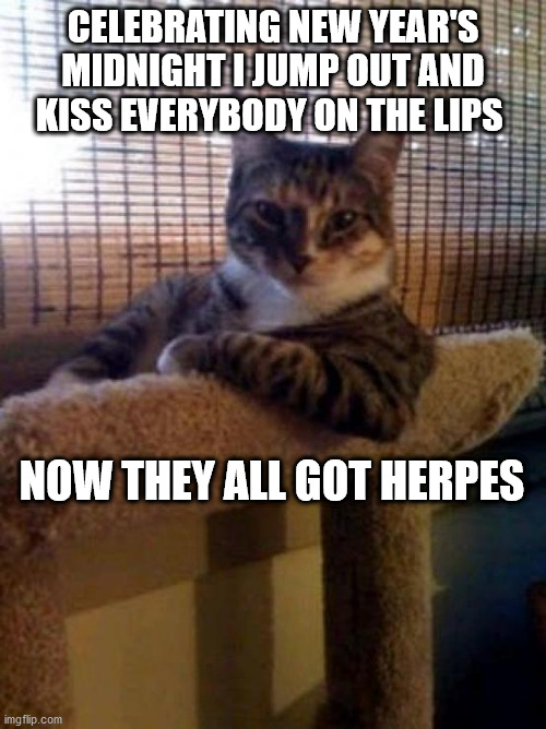 The Most Interesting Cat In The World Meme | CELEBRATING NEW YEAR'S MIDNIGHT I JUMP OUT AND KISS EVERYBODY ON THE LIPS; NOW THEY ALL GOT HERPES | image tagged in memes,the most interesting cat in the world | made w/ Imgflip meme maker