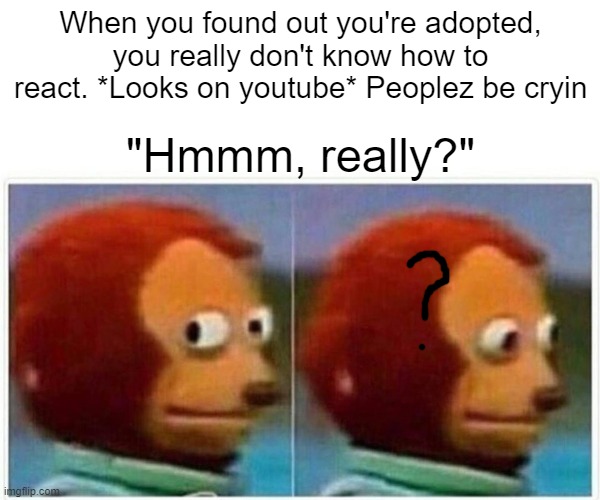 No offence to anyone O.o | When you found out you're adopted, you really don't know how to react. *Looks on youtube* Peoplez be cryin; "Hmmm, really?" | image tagged in memes,monkey puppet | made w/ Imgflip meme maker