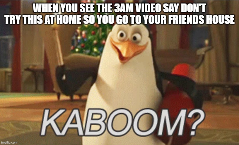 just thought of this at new years dinner happy new years hope its not a repost | WHEN YOU SEE THE 3AM VIDEO SAY DON'T TRY THIS AT HOME SO YOU GO TO YOUR FRIENDS HOUSE | image tagged in penguins of madagascar kaboom | made w/ Imgflip meme maker