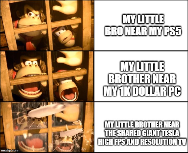 DK BE LIKE | MY LITTLE BRO NEAR MY PS5; MY LITTLE BROTHER NEAR MY 1K DOLLAR PC; MY LITTLE BROTHER NEAR THE SHARED GIANT TESLA HIGH FPS AND RESOLUTION TV | image tagged in dk and diddy kong | made w/ Imgflip meme maker