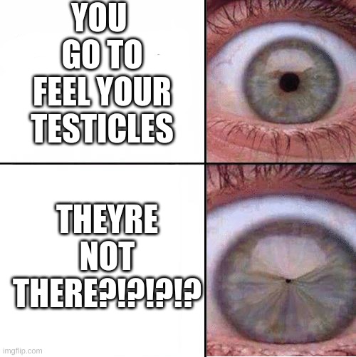 Eye Pupil (Shrinking) Template | YOU  GO TO FEEL YOUR TESTICLES; THEYRE NOT THERE?!?!?!? | image tagged in eye pupil shrinking template | made w/ Imgflip meme maker