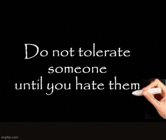 Tolerating People Until Hate | image tagged in tolerating people until hate | made w/ Imgflip meme maker