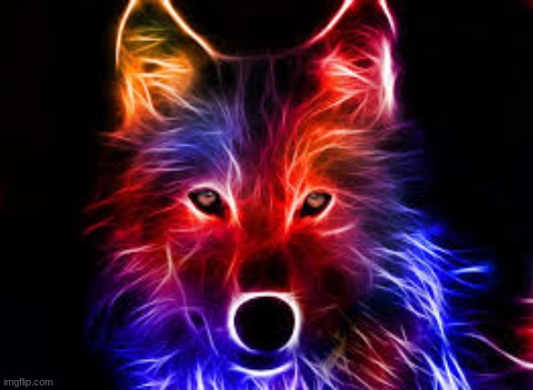 neon wolf | image tagged in wolf,neon | made w/ Imgflip meme maker