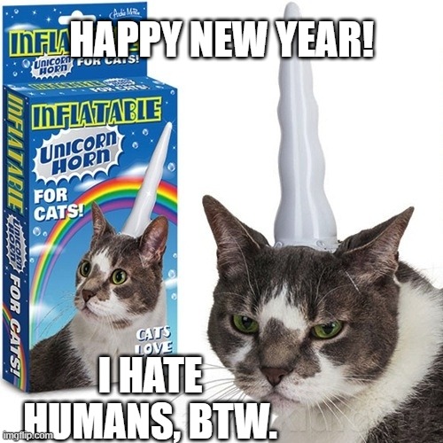 Caticorn Happy New Year! | HAPPY NEW YEAR! I HATE HUMANS, BTW. | image tagged in unicorn,happy new year,2021,2020,covid | made w/ Imgflip meme maker