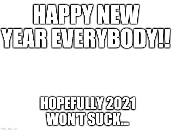 Blank White Template | HAPPY NEW YEAR EVERYBODY!! HOPEFULLY 2021 WON'T SUCK... | image tagged in blank white template | made w/ Imgflip meme maker