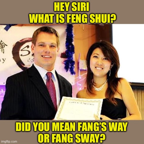 The Spy Who Rubbed Me | HEY SIRI
 WHAT IS FENG SHUI? DID YOU MEAN FANG’S WAY
OR FANG SWAY? | image tagged in eric swalwell,christine fang,china,spy,honeypot | made w/ Imgflip meme maker