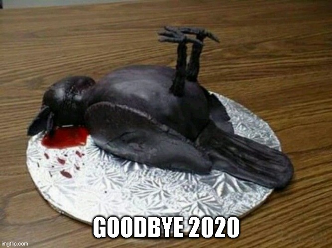 Goodbye 2020 | GOODBYE 2020 | image tagged in 2020 sucks,2020 | made w/ Imgflip meme maker