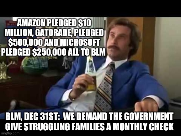 Living large? | AMAZON PLEDGED $10 MILLION, GATORADE, PLEDGED $500,000 AND MICROSOFT PLEDGED $250,000 ALL TO BLM; BLM, DEC 31ST:  WE DEMAND THE GOVERNMENT GIVE STRUGGLING FAMILIES A MONTHLY CHECK | image tagged in blm,welfare,stimulus,pelosi,mitch mcconnell,2020 | made w/ Imgflip meme maker