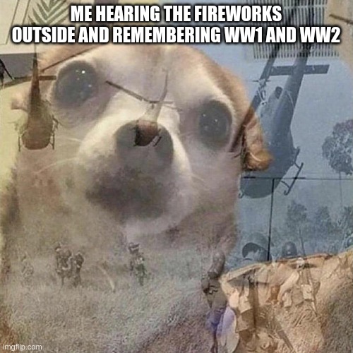 Dog PTSD | ME HEARING THE FIREWORKS OUTSIDE AND REMEMBERING WW1 AND WW2 | image tagged in dog ptsd | made w/ Imgflip meme maker