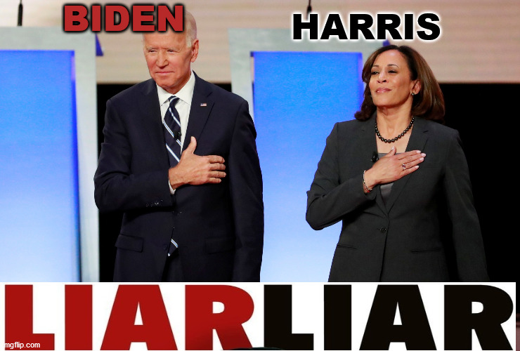 Liar Liar | BIDEN; HARRIS | image tagged in biden kamala ajg | made w/ Imgflip meme maker