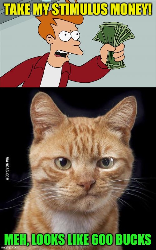 TAKE MY STIMULUS MONEY! MEH, LOOKS LIKE 600 BUCKS | image tagged in memes,shut up and take my money fry,doubting cat | made w/ Imgflip meme maker