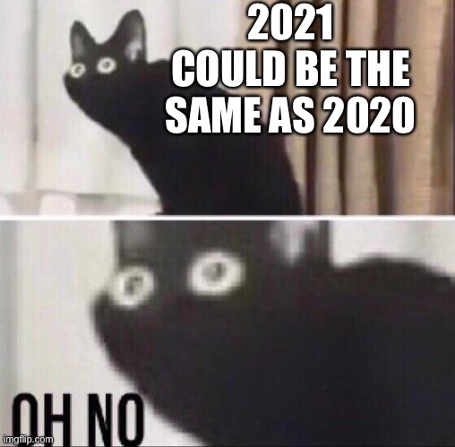 Oh no cat | 2021 COULD BE THE SAME AS 2020 | image tagged in oh no cat | made w/ Imgflip meme maker