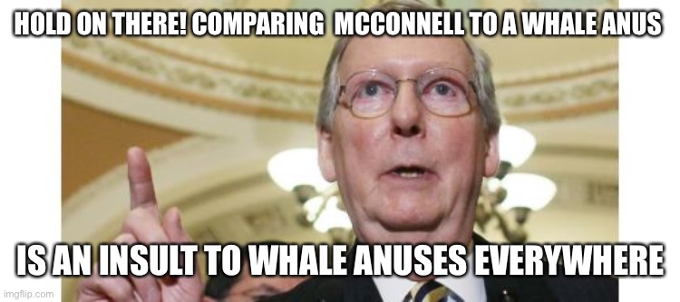 Mitch McConnell Meme | HOLD ON THERE! COMPARING  MCCONNELL TO A WHALE ANUS IS AN INSULT TO WHALE ANUSES EVERYWHERE | image tagged in memes,mitch mcconnell | made w/ Imgflip meme maker