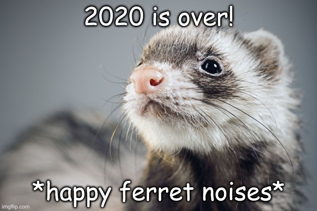 Happy Ferret | 2020 is over! *happy ferret noises* | image tagged in happy ferret | made w/ Imgflip meme maker