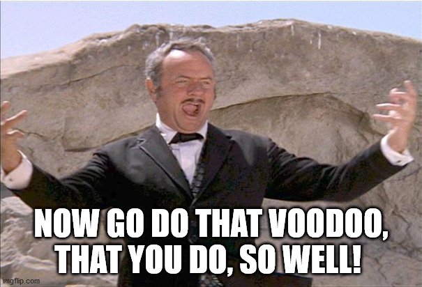 VooDoo That You Do | NOW GO DO THAT VOODOO, THAT YOU DO, SO WELL! | image tagged in blazing saddles,hedley lamar,that voodoo that you do | made w/ Imgflip meme maker