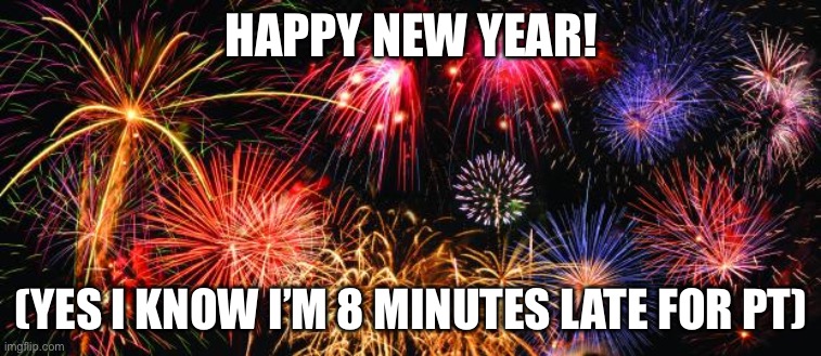 Colorful Fireworks | HAPPY NEW YEAR! (YES I KNOW I’M 8 MINUTES LATE FOR PT) | image tagged in colorful fireworks | made w/ Imgflip meme maker