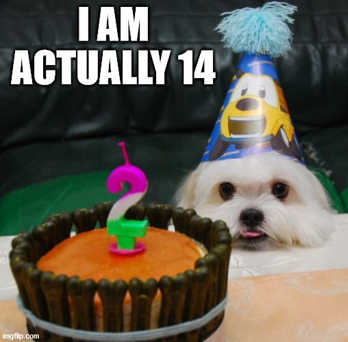 I AM ACTUALLY 14 | image tagged in dogs | made w/ Imgflip meme maker