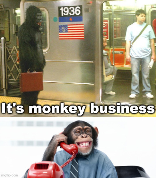It's monkey business | image tagged in monkey business | made w/ Imgflip meme maker