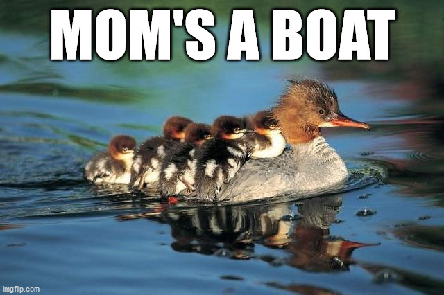 MOM'S A BOAT | made w/ Imgflip meme maker