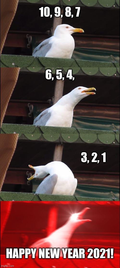 *Insert party face emoji* |  10, 9, 8, 7; 6, 5, 4, 3, 2, 1; HAPPY NEW YEAR 2021! | image tagged in memes,inhaling seagull,new year,happy new year,2021 | made w/ Imgflip meme maker