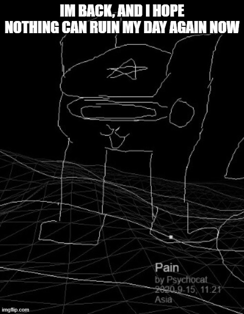 Pain | IM BACK, AND I HOPE NOTHING CAN RUIN MY DAY AGAIN NOW | image tagged in pain | made w/ Imgflip meme maker