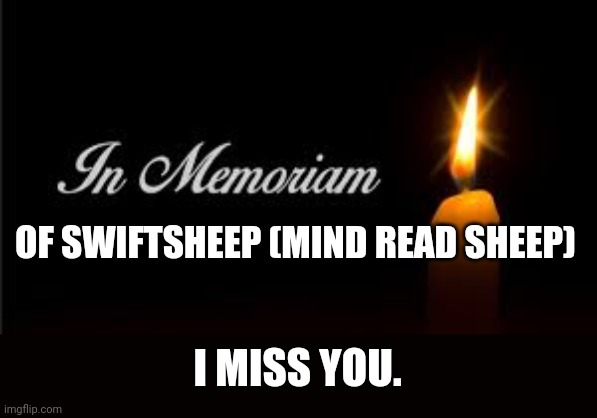 *Cries* | OF SWIFTSHEEP (MIND READ SHEEP); I MISS YOU. | image tagged in in memoriam | made w/ Imgflip meme maker