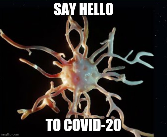 SAY HELLO TO COVID-20 | made w/ Imgflip meme maker