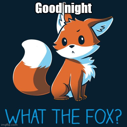 What the Fox? | Good night | image tagged in what the fox | made w/ Imgflip meme maker