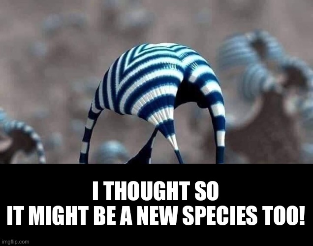 I THOUGHT SO
IT MIGHT BE A NEW SPECIES TOO! | made w/ Imgflip meme maker