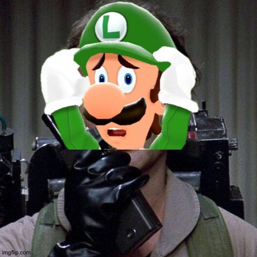 LUIGI TIME | image tagged in ghostbusters,luigis mansion,luigi,ghostbuster,ghost,boo | made w/ Imgflip meme maker