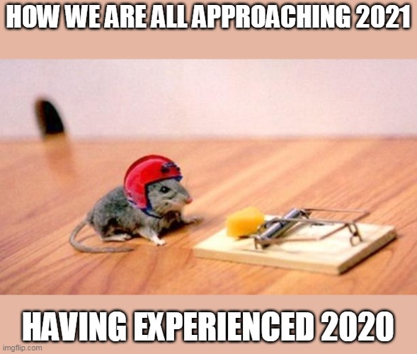 Suspicious but hopeful | HOW WE ARE ALL APPROACHING 2021; HAVING EXPERIENCED 2020 | image tagged in mouse trap,memes,2021,2020 sucks,new year,hope | made w/ Imgflip meme maker