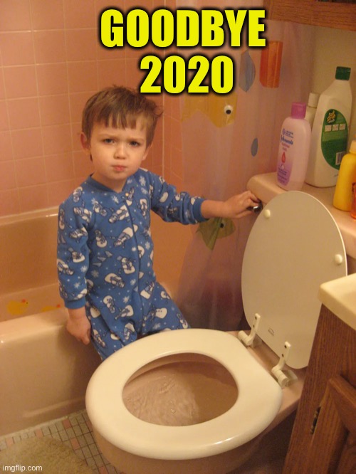 Happy New Year :-) | GOODBYE 
2020 | image tagged in memes,happy new year,flushing toilet,goodbye 2020 | made w/ Imgflip meme maker