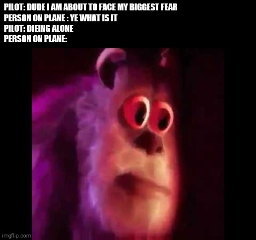 Sully Groan | PILOT: DUDE I AM ABOUT TO FACE MY BIGGEST FEAR 
PERSON ON PLANE : YE WHAT IS IT 
PILOT: DIEING ALONE
PERSON ON PLANE: | image tagged in sully groan | made w/ Imgflip meme maker