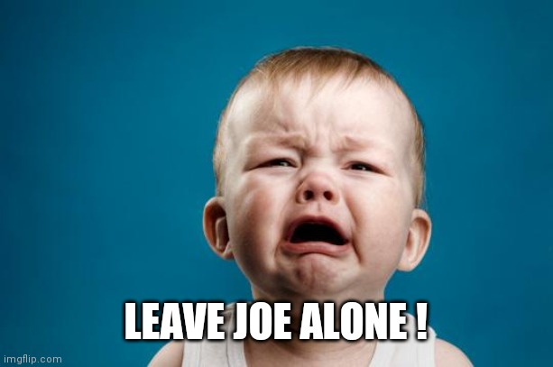 BABY CRYING | LEAVE JOE ALONE ! | image tagged in baby crying | made w/ Imgflip meme maker