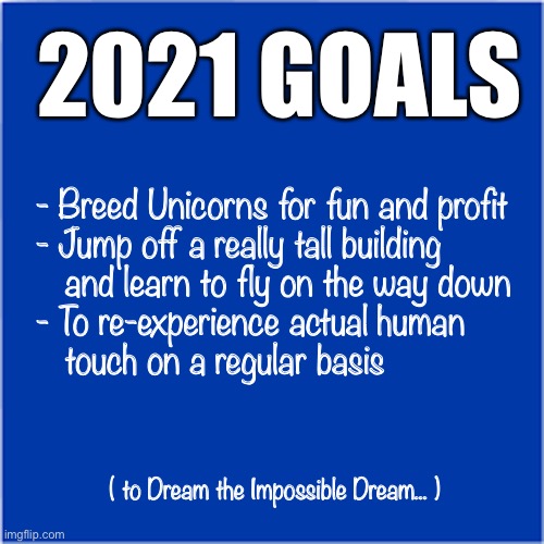 2021 Goals | 2021 GOALS; - Breed Unicorns for fun and profit
- Jump off a really tall building
   and learn to fly on the way down
- To re-experience actual human
   touch on a regular basis; ( to Dream the Impossible Dream... ) | image tagged in new year resolutions | made w/ Imgflip meme maker