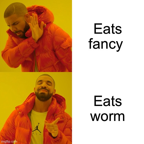 Eats fancy Eats worm | image tagged in memes,drake hotline bling | made w/ Imgflip meme maker