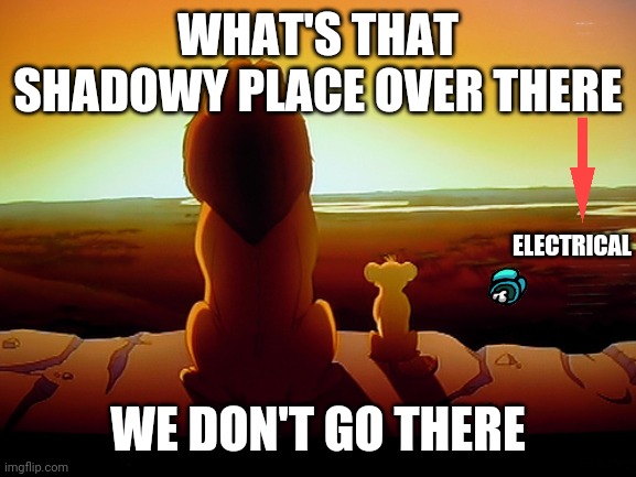 Lion King | WHAT'S THAT SHADOWY PLACE OVER THERE; ELECTRICAL; WE DON'T GO THERE | image tagged in memes,lion king | made w/ Imgflip meme maker