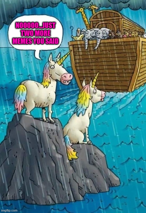 unicorn funny meme