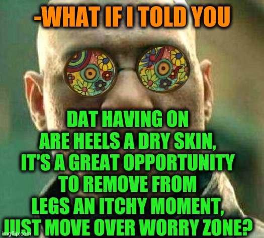 -Predator and prey. |  -WHAT IF I TOLD YOU; DAT HAVING ON ARE HEELS A DRY SKIN, IT'S A GREAT OPPORTUNITY TO REMOVE FROM LEGS AN ITCHY MOMENT, JUST MOVE OVER WORRY ZONE? | image tagged in acid kicks in morpheus,strong legs,itch,dry,skin,heels | made w/ Imgflip meme maker