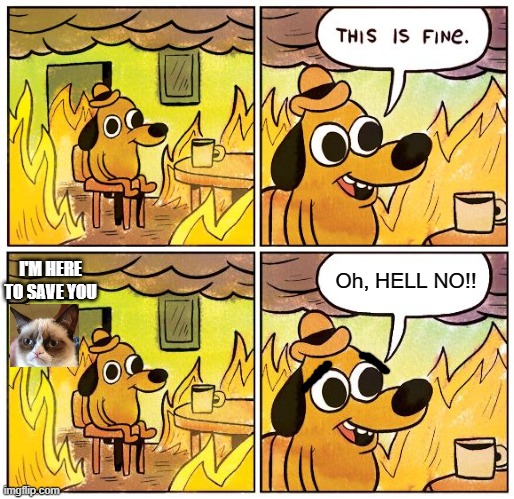 Oh, HELL NO!! I'M HERE TO SAVE YOU | image tagged in grumpy cat,this is fine,cats | made w/ Imgflip meme maker