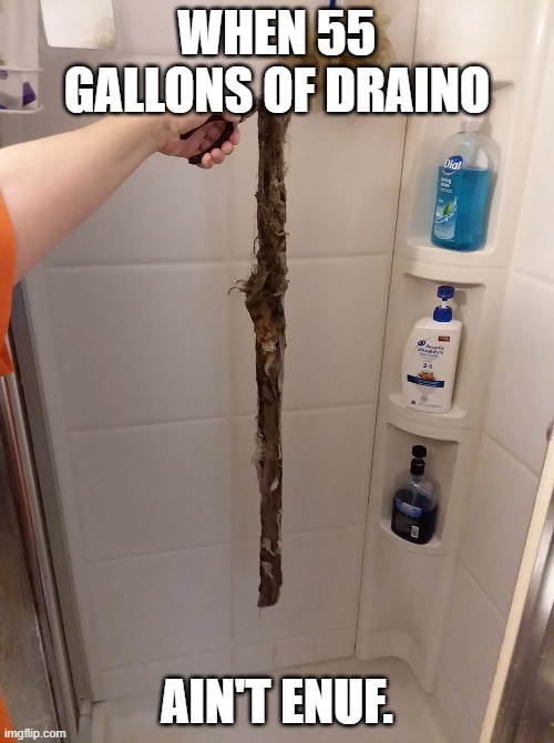 Clog from hades | WHEN 55 GALLONS OF DRAINO; AIN'T ENUF. | image tagged in clog,drain,clogged,shower,gross,hair | made w/ Imgflip meme maker