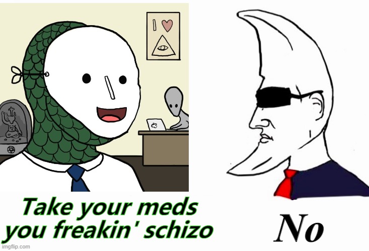 No; Take your meds you freakin' schizo | image tagged in memes | made w/ Imgflip meme maker