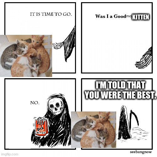 its time to go grim reaper | KITTEN; I'M TOLD THAT YOU WERE THE BEST. | image tagged in its time to go grim reaper | made w/ Imgflip meme maker