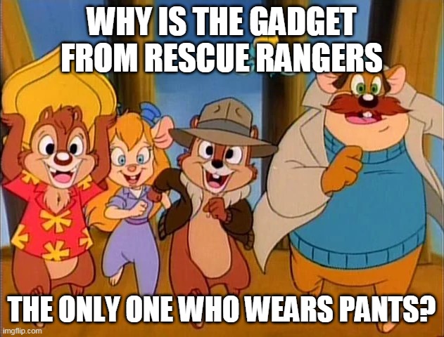 hmmmm | WHY IS THE GADGET FROM RESCUE RANGERS; THE ONLY ONE WHO WEARS PANTS? | image tagged in memes,funny,rescue rangers,chip and dale | made w/ Imgflip meme maker