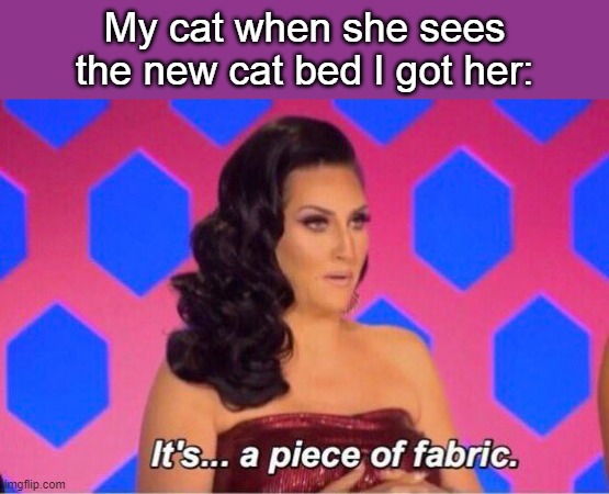 My cat when she sees the new cat bed I got her: | image tagged in memes,cats,funny memes,its a piece of fabric | made w/ Imgflip meme maker