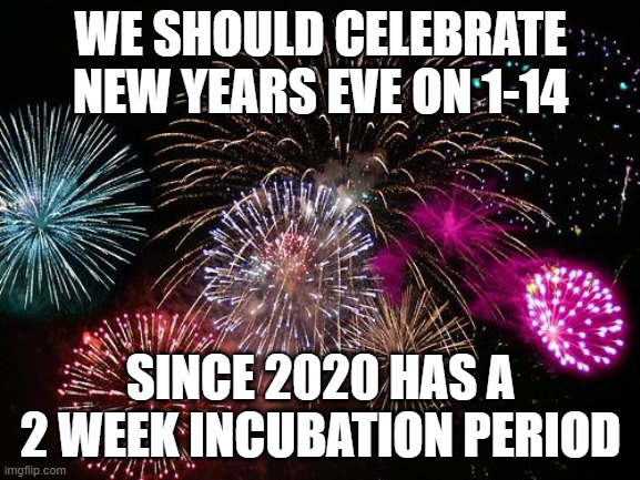 New Years  | WE SHOULD CELEBRATE NEW YEARS EVE ON 1-14; SINCE 2020 HAS A 2 WEEK INCUBATION PERIOD | image tagged in new years,2020,covid | made w/ Imgflip meme maker